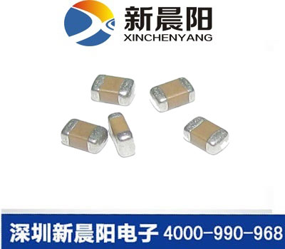 新晨陽片容